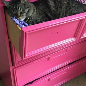 Meet your Posher, Amelie